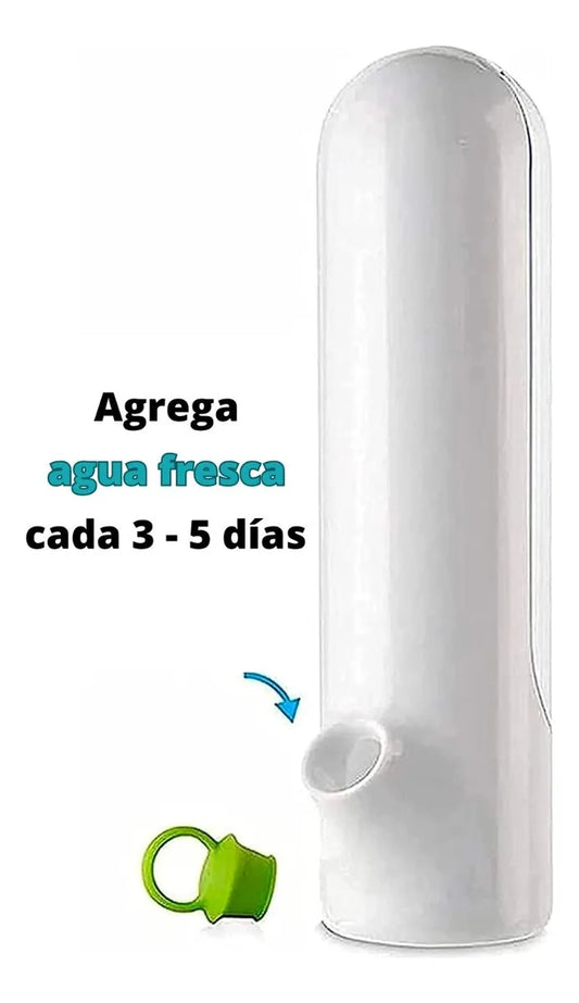 Conservador de Hierbas Frescas